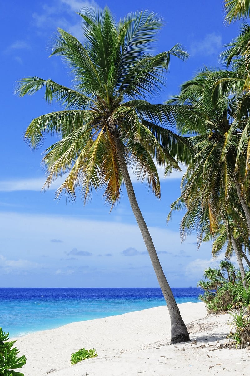 Maldives, Indian Ocean